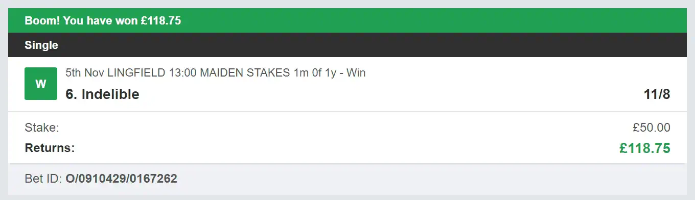 Bet Tips Of The Day - Winner 2 - 2023-11-05
